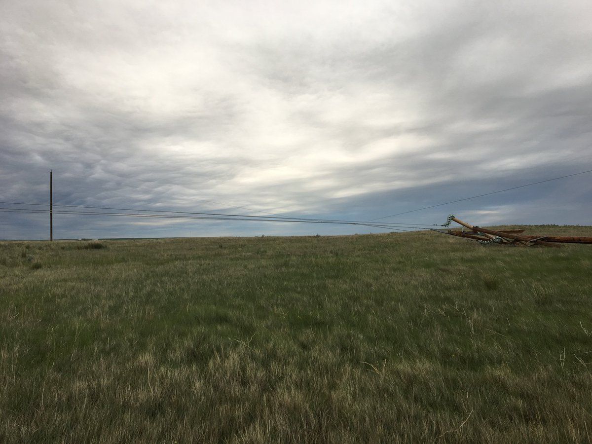 AltaLink's tweet photo. The strong winds over the weekend blew down several structures along this line in @CypressCounty northeast of #MedHat. No customers are experiencing outages. Our crews have secured the line and we're working to repair it as quickly &amp; safely as possible. #ABstorm https://t.co/dJR7GsfGgN