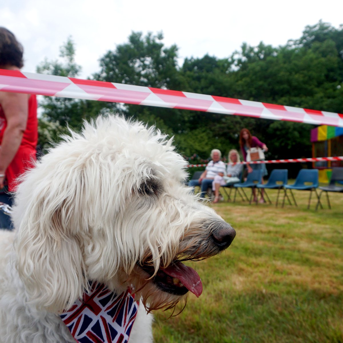 Ingfield_Manor's tweet photo. We want to say a massive thank you to everyone who came to our fete! It was great to see everyone having such a wonderful time. The friends of Ingfield have managed raised over £11,000!
Now we can start planning next years fete!
#fete #summer #school #CerebralPalsy #billingshurst https://t.co/ewhHfZ7tGe