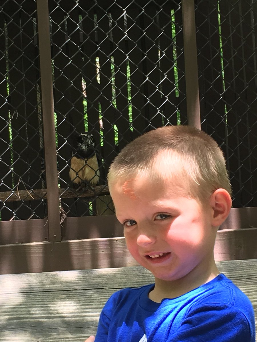 Happymeal (@happymeal67037) on Twitter photo 