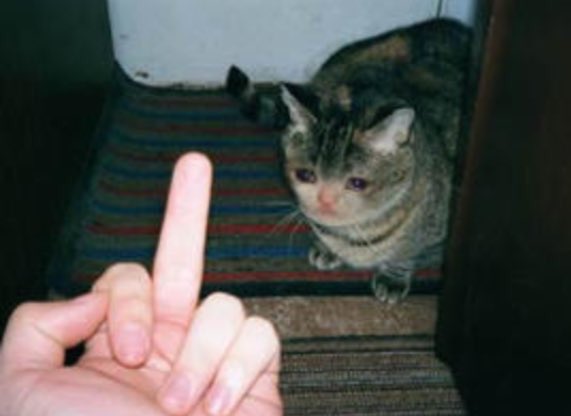 a bloody irish witch🇺🇦 🇵🇸 tweet media