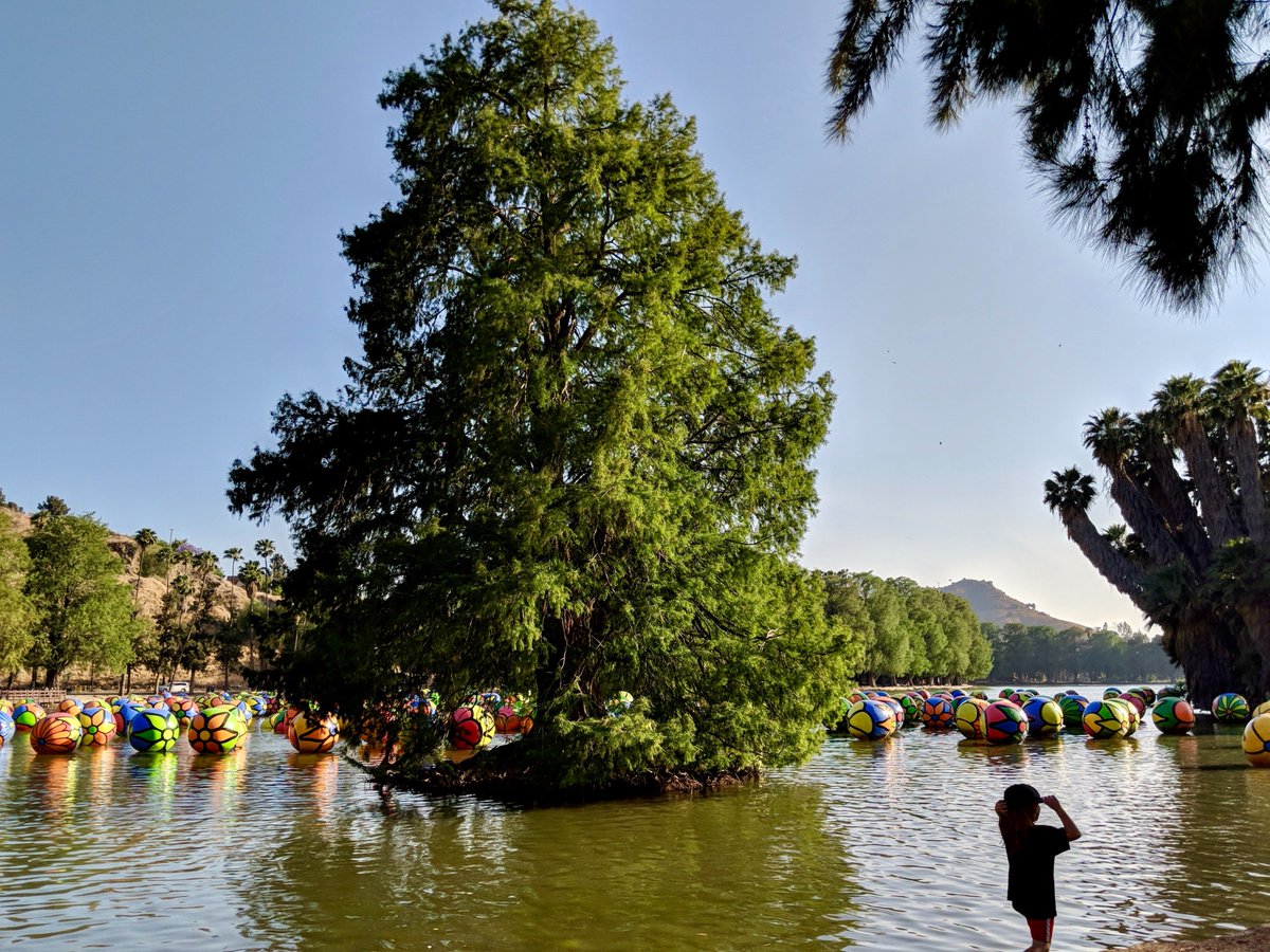 Rivartalliance's tweet photo. Deadline for #artfloat @AlturaCU Art & Photography Contest is June 29th and 30th. To enter the contest, turn in all applications and #ArtFloatRiverside related artwork/photography to the Riverside Art Museum. See details: https://t.co/yzOUKgB4Bp https://t.co/RI1LMZUum1