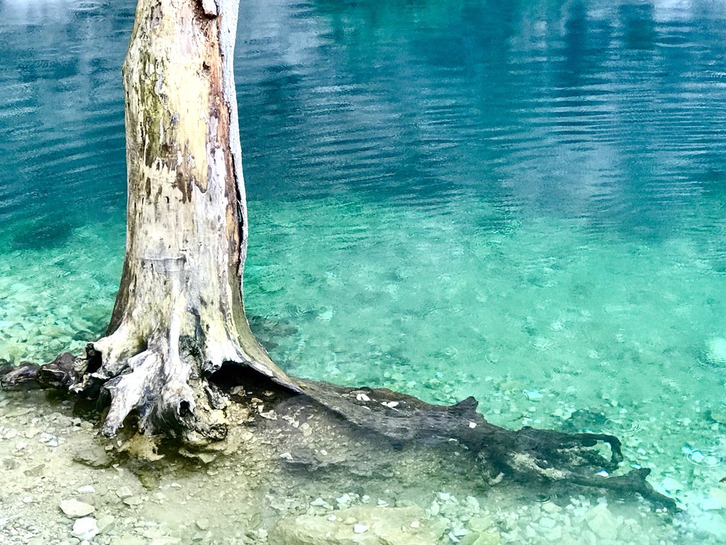 privateprovence's tweet photo. @lifefrance Was there today on my tour and found the waters to be an amazing colour! https://t.co/xzVJtXUdYQ