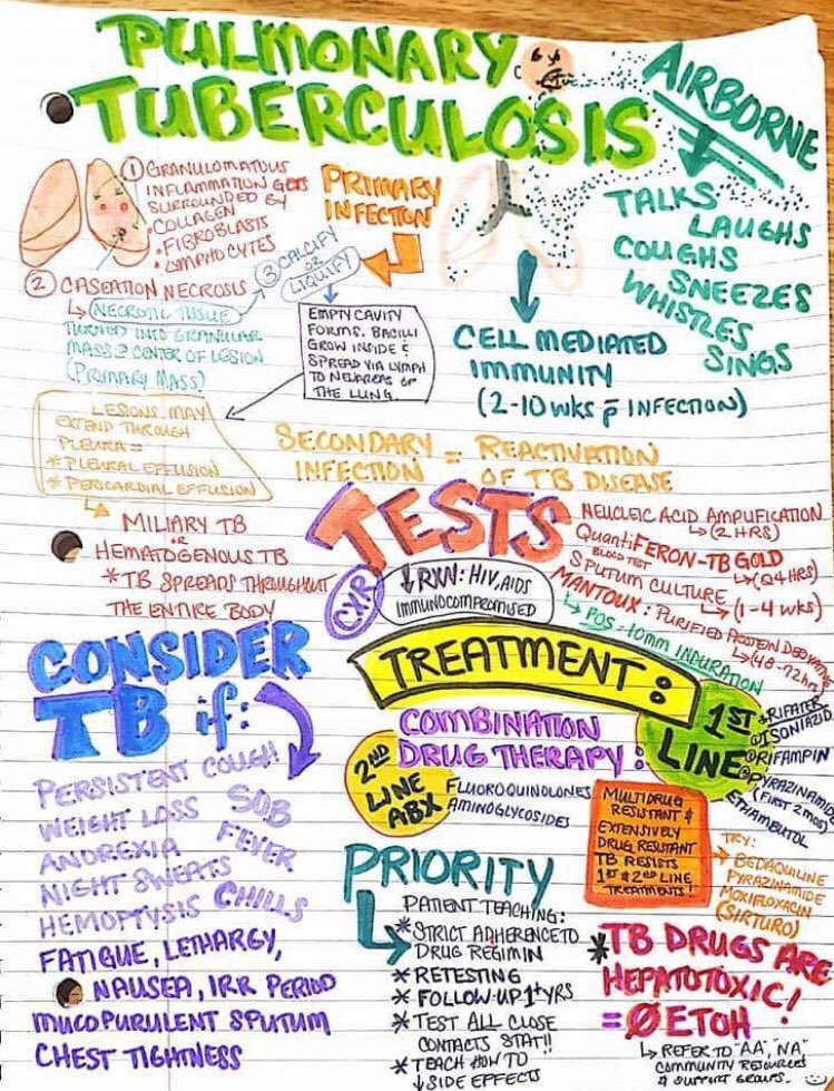 TripleE_KSA's tweet photo. 🛑 pulmonary tuberculosis 🛑
#TB #pulmonary #pulmonologist #SMLE #medicine_triple_E #medicine #pharmacy #Nursing #basic #Triple_E https://t.co/pxO6LITh5Y