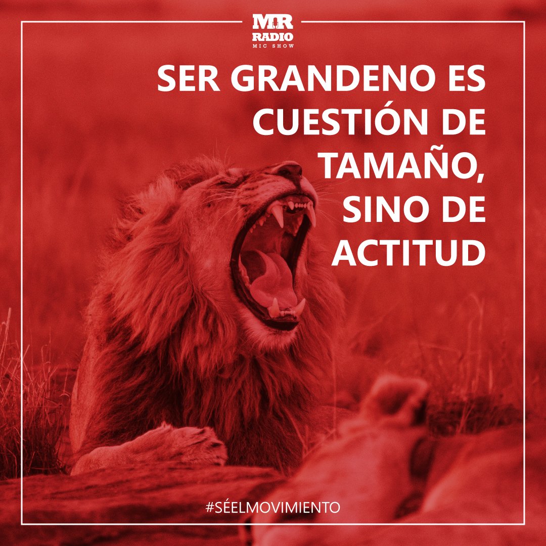 MrRadioMic's tweet photo. La actitud es de lo más importante #SéElMovimiento https://t.co/A4qflwoRU6