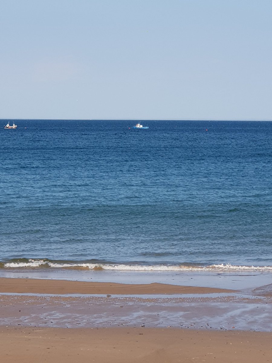 JFEditing's tweet image. Annnd we're editing. Honestly.