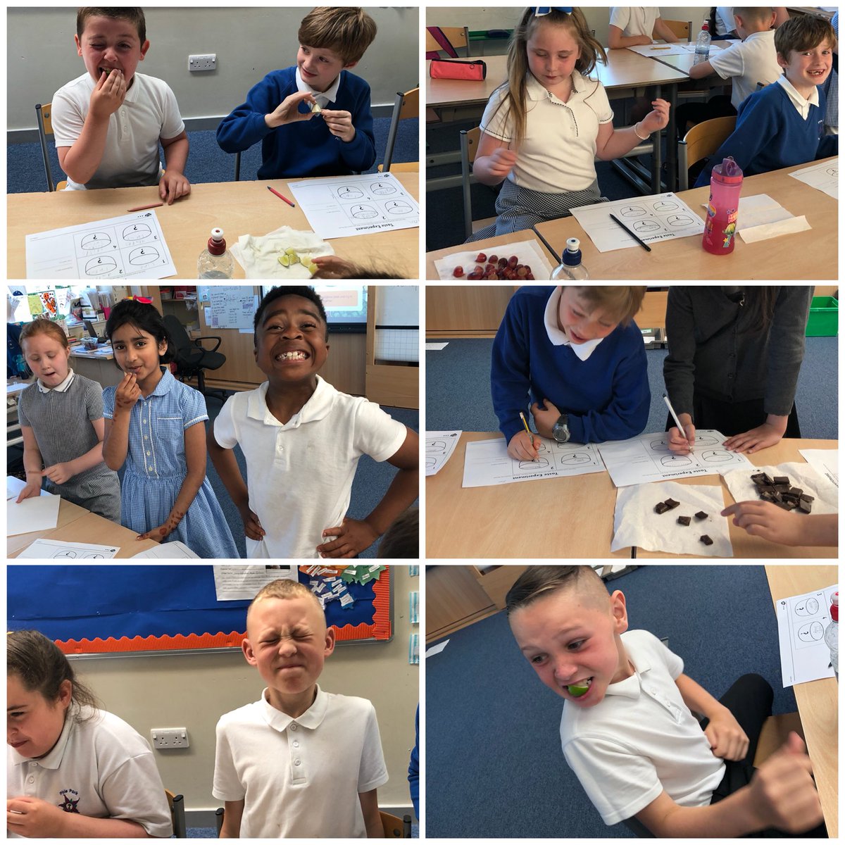 P4PiriePark's tweet photo. P4c have been learning about senses 👀👂🏼👃🏼👅🖐🏼 they pulled some funny faces when trying different tastes! https://t.co/0y0zAKt5ml