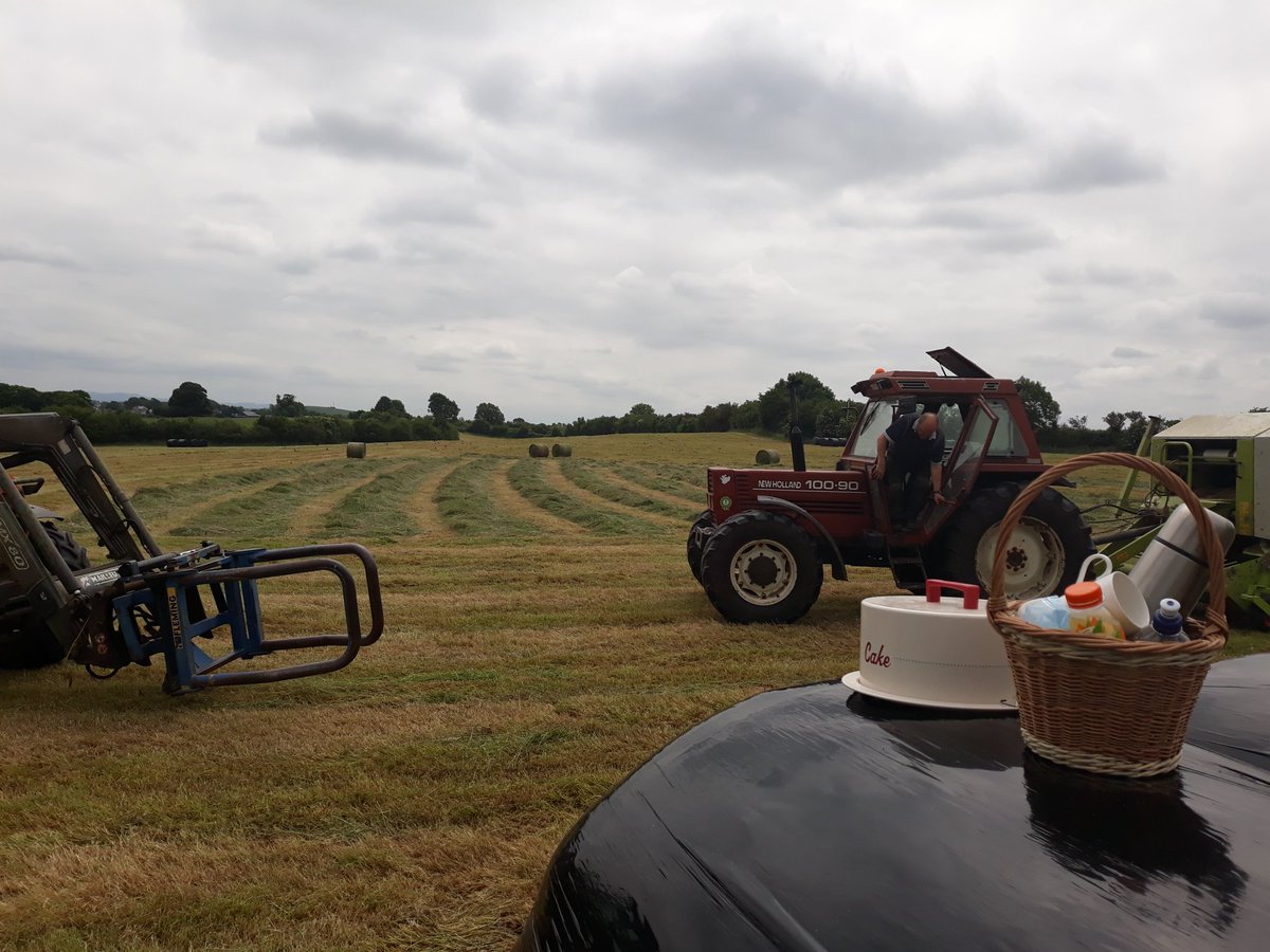 hqmulligan's tweet photo. Four lemon cakes, multiple han-g sandwiches, few flasks of tea and and that's the first cut all wrapped up! 👏

Now, onto the second 😅 #SilageFever https://t.co/fjbj4Pksya