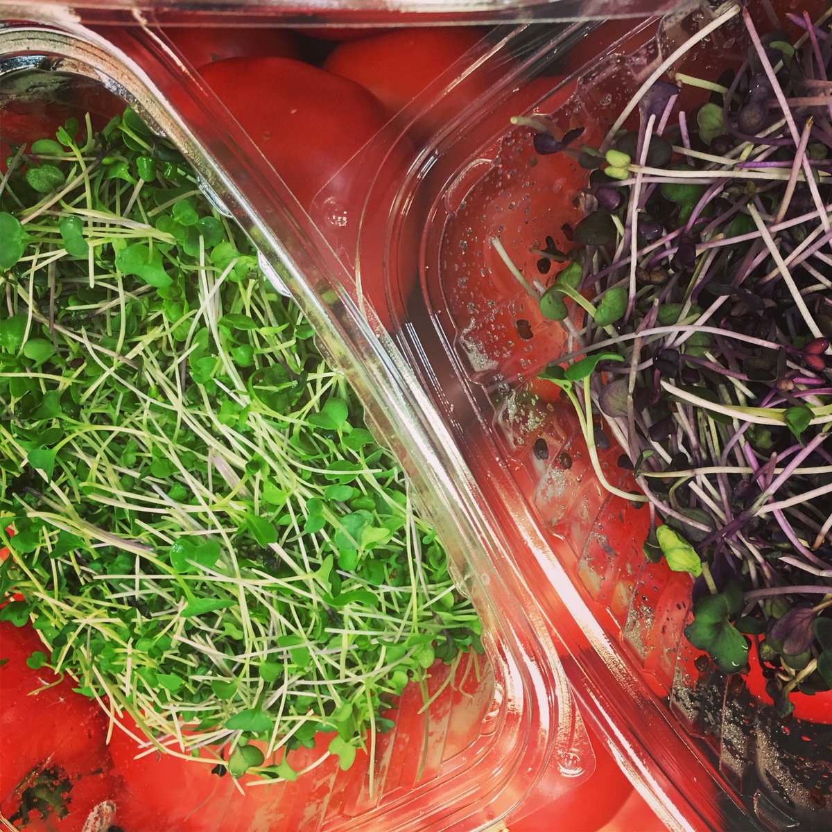 TheMarketSD's tweet photo. Micro-greens are in! Packed with nutrients, antioxidants, and vitamins! #microgreens #salad #preventdisease #antioxidants #nutrients #vitamins #packedwithnutrients https://t.co/b6JYPID1FN