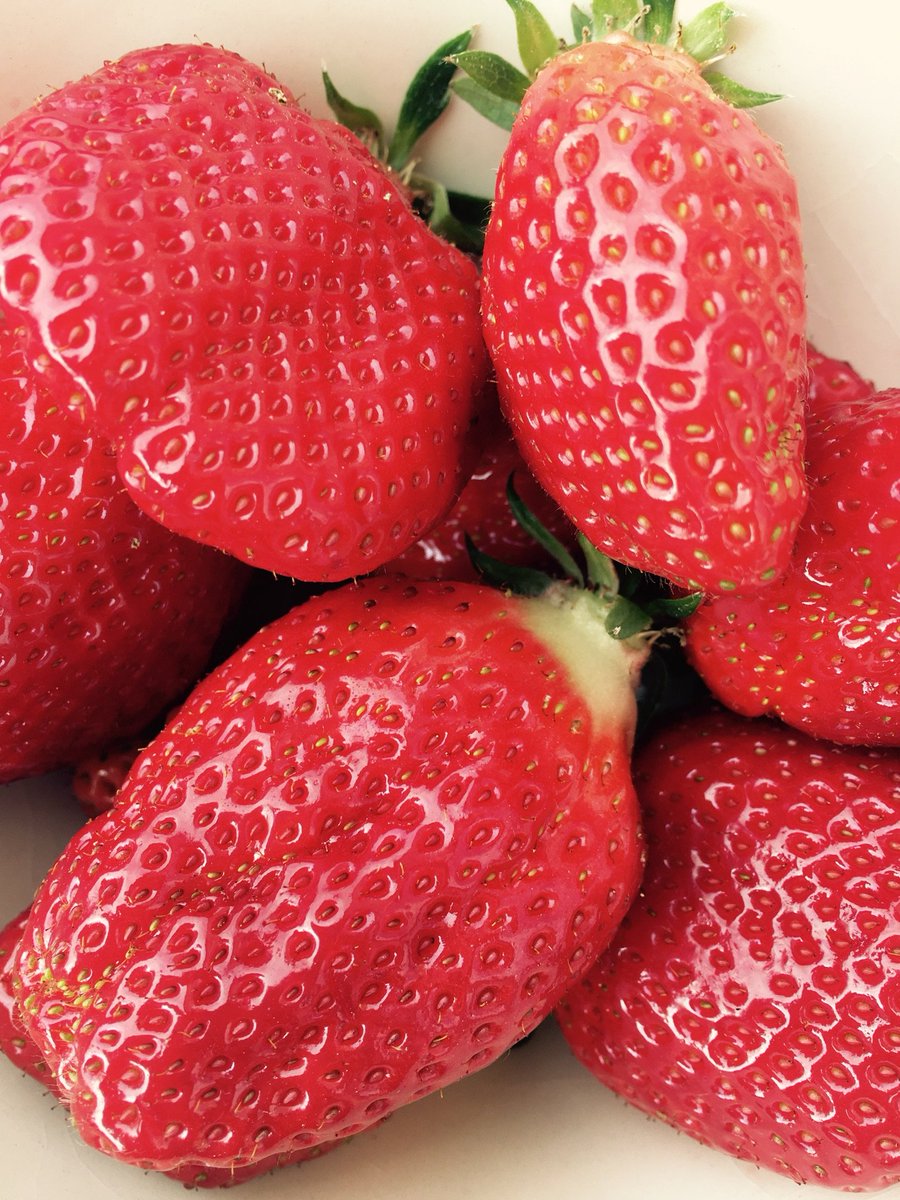 bucketlistfranc's tweet photo. Row upon row of gorgeous juicy #strawberries can be found at French markets at this time of year. So many different varieties – gariguette, mara des bois, charlotte…🍓🍓🍓 How do you like your strawberries? Nature, sugar sprinkled on top or accompanied by some delicious cream? https://t.co/h9WkVNwr8z
