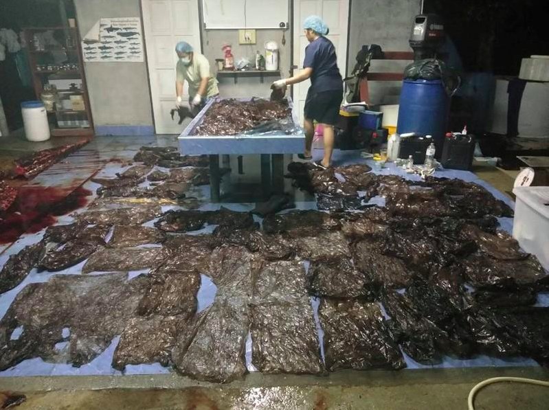 WasteFreeMuslim's tweet photo. 8 kilograms of plastic found in autopsy of dead whale... so sad. There is so much we can do to reduce waste that ends up in landfill and oceans. #Wastefree #plasticfree #banplastic #wastefreemuslims https://t.co/K3VqQCrDBO