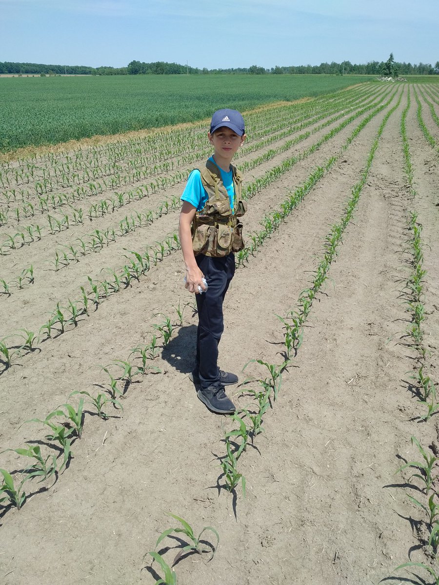 CDNLivingston's tweet photo. Don't get to spend that much 1 on 1 with this kid. Told him we go look at some crops and boy was he prepared. A tool in each pocket! He will wish different clothing choice after a couple hundred ac. #scouttraining #fathersontime #needrainplease https://t.co/PhS7qLaNcE