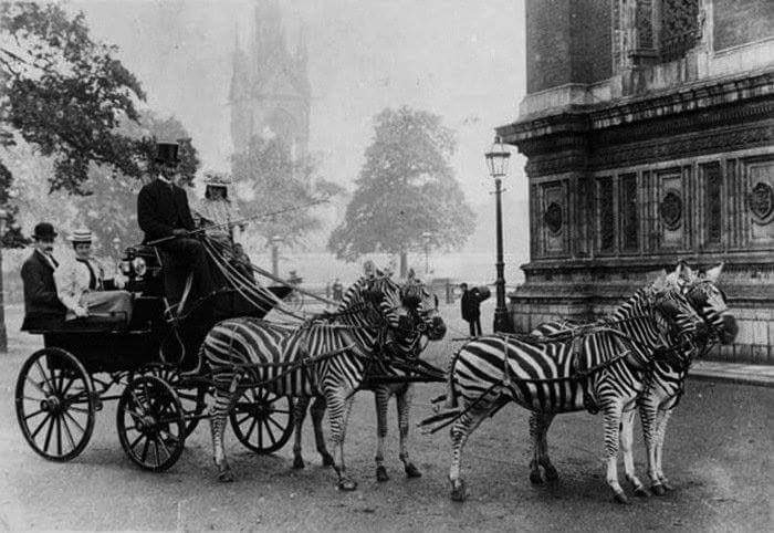 Artimalia's tweet photo. Londres 1900. La perversión de la colonización. https://t.co/FlBMuoXymP
