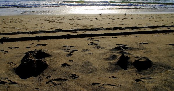 UmbrellaTravel2's tweet photo. Maybe the most underrated vacation destination in San Diego County and a quick Amtrak ride from Los Angeles, Carlsbad is bordered by Oceanside, Vista, San Marcos, and Encinitas. You may know it as that one SoCal town parents take their lego-loving kids ... https://t.co/pRpzGHKuqM https://t.co/eLtGAcSIpm