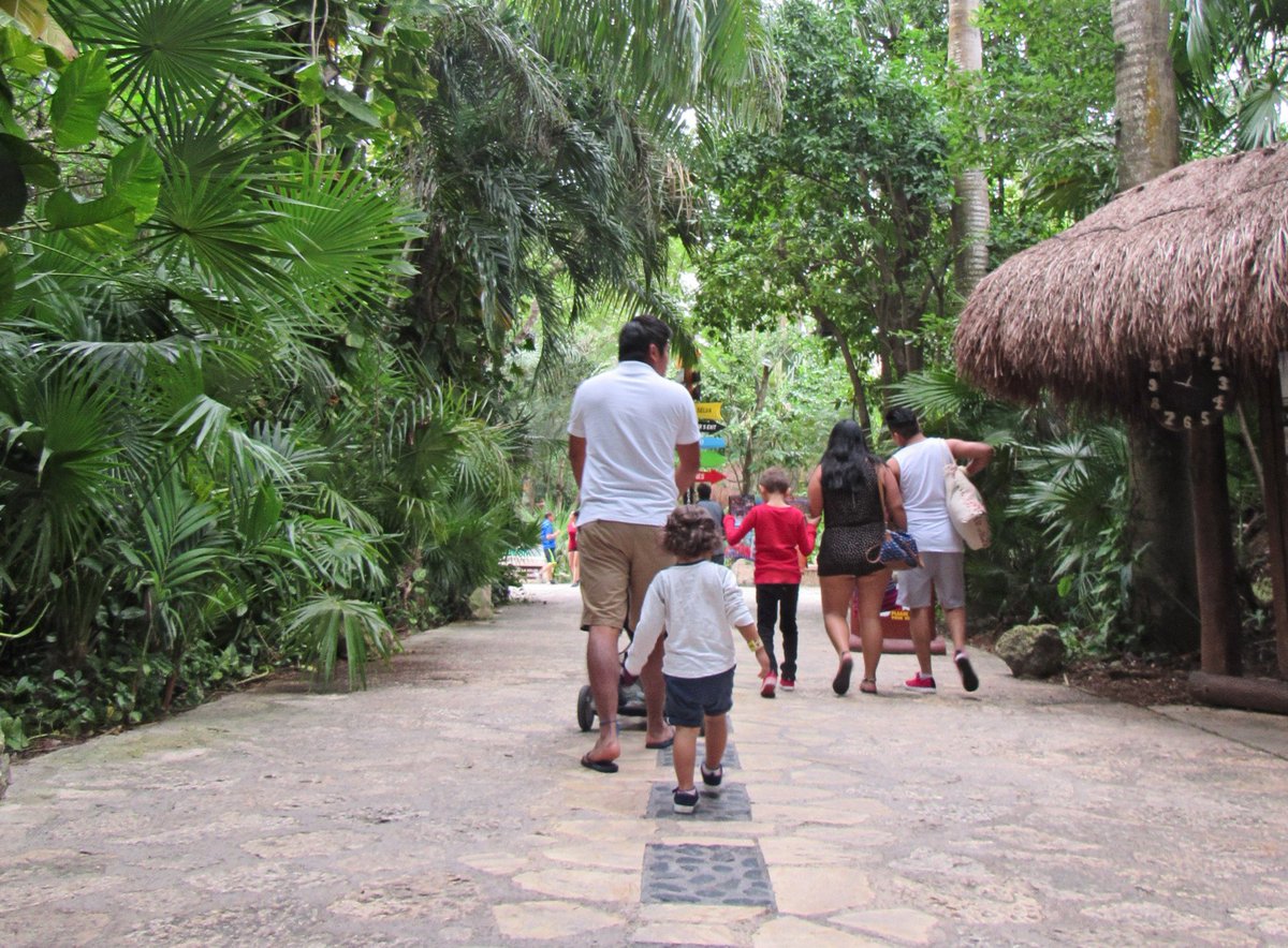 Why <a href="/XcaretPark/">Xcaret</a> is the easiest #RivieraMaya eco park when you're going with kids! (Including my own tips for visiting the park with littles) <a href="/LocoGringoCom/">Loco Gringo Inc.</a> locogringo.com/xcaret-park-th…