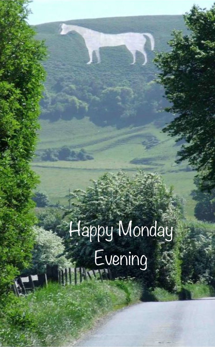 oliverselec's tweet photo. Oliver’s electrical 01373 
Happy Monday evening everyone. https://t.co/I9hDNctptp