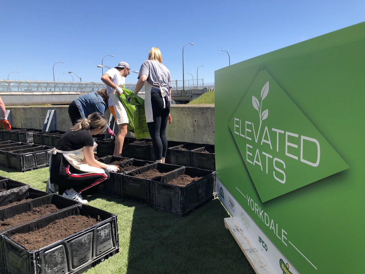 WeldonAmanda's tweet photo. Had a blast hanging out at Yorkdale - Elevated Eats with @FrankFerragine and an army of veggie planters today! The growth from these little guys will go towards local food banks! #ElevatedEats #YorkdaleMall https://t.co/rd8aLQsIXp