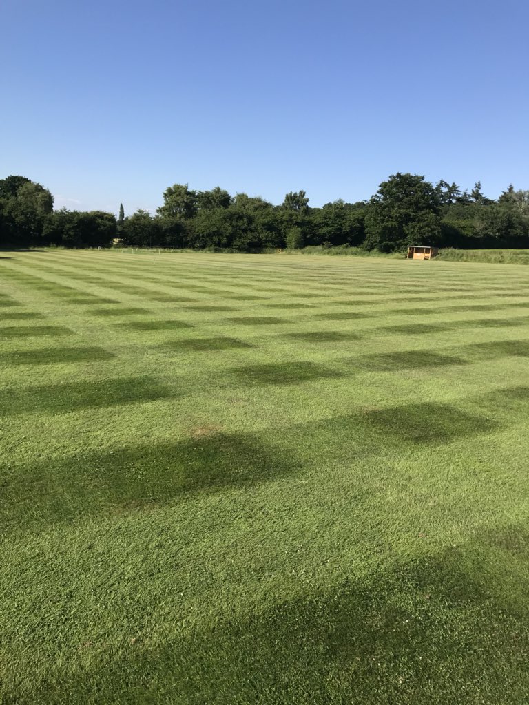 HambledonFC's tweet photo. Pitch coming on nicely at Badger Park ๐ฑnot quite ready for @j1sua and his drone yet. Canโt wait to receive @AllettMowers C34 next month #pitchtoplay #grassroots #hambledon #coyds #stripeoff https://t.co/jSigltbRK0