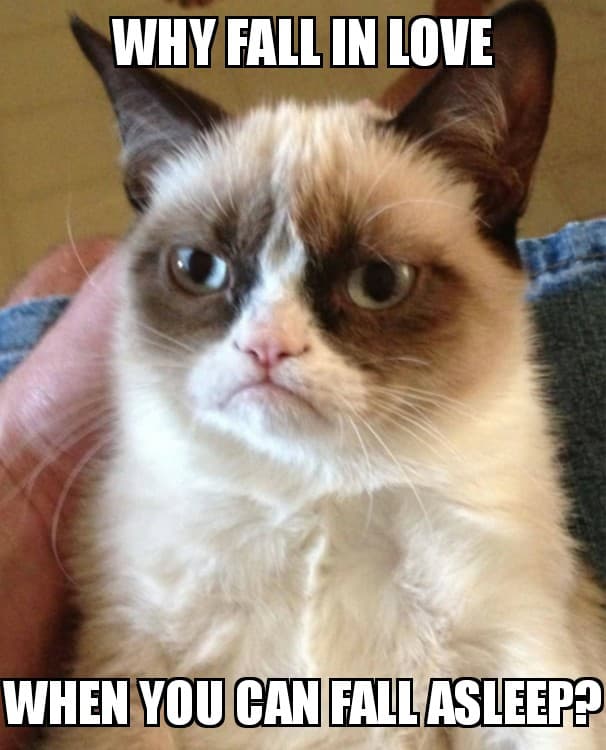 DisruptiveLove's tweet photo. Today's #dailydisruption features our favorite feline @RealGrumpyCat https://t.co/IpVroM3iKY