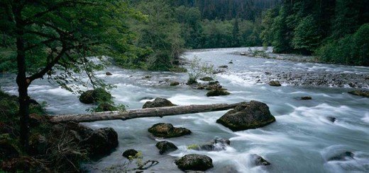 sciencenutshell's tweet photo. Wastewater treatment plants are key route into rivers for microplastics

https://t.co/tQuZGMB2Ee https://t.co/j6d2W8ZJyg