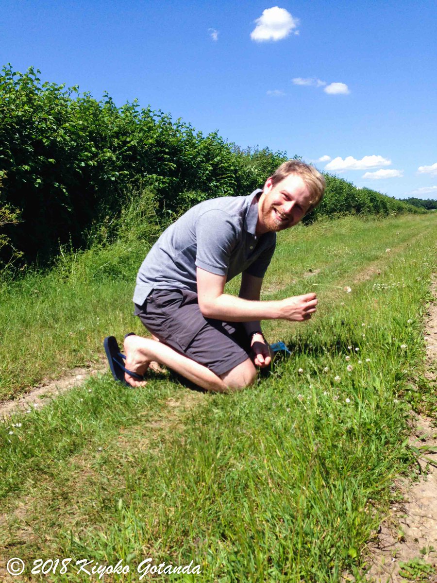 photopidge's tweet photo. Some action photos of @bjmjarrett sampling clover today in Cambridge for @evoecolab #GlobalEvolutionProject #GLUE. Wondering what this project is? Check out the link for more information! https://t.co/yvJn1P7kKz https://t.co/9BfnEsCuQv