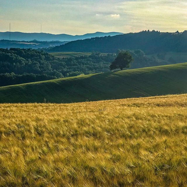 vladlet's tweet photo. #slovakia #slovensko #banskabystrica #landscape #view https://t.co/gijMFWATMd https://t.co/UcpU2t4f0G
