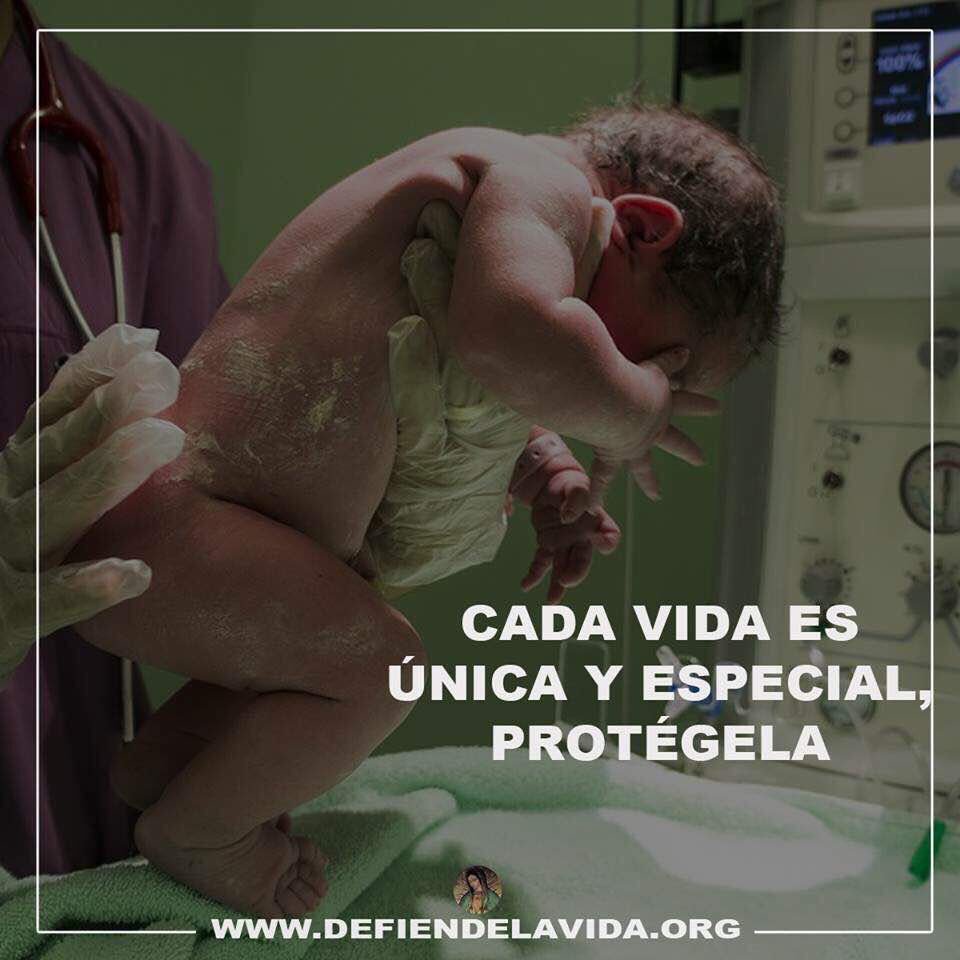 porlavida2014 tweet picture