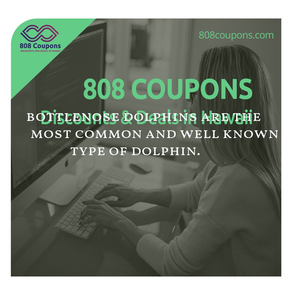 jaycadla's tweet photo. Follow us on Facebook, Instagram and Google plus or search us online at https://t.co/T0T8MOHU1t for Discounts and deals in Hawaii https://t.co/TECKyrZlXx
