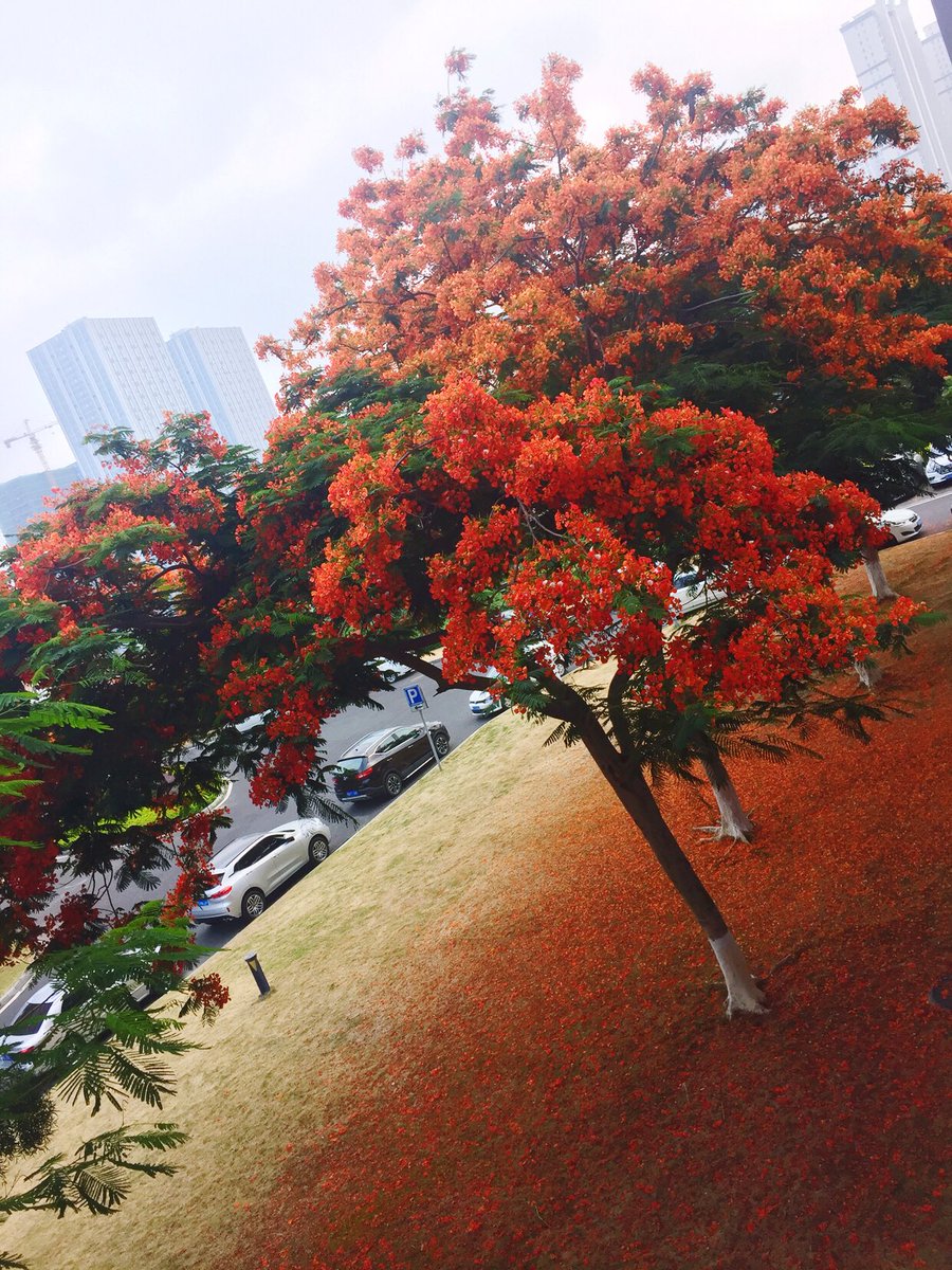 yaotk's tweet photo. 睡觉是万能的，阻止我睡觉是万万不能的 https://t.co/71b2TTgm0O