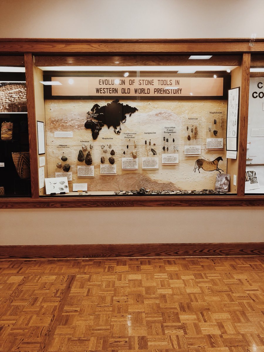 TheCoug_'s tweet photo. Our second stop is in College Hall π The Museum of Anthropology hosts collections that represent the culture of Native American tribes across the Inland Northwest π #pullmanallsummer #openallsummer https://t.co/bZHNHrBYK0