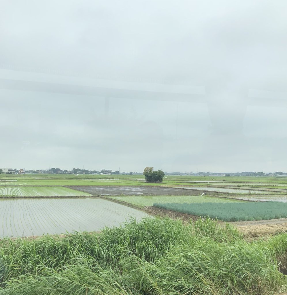 ORDeptAg's tweet photo. Under Secretary TFAA, #USDA answers questions from #Agricultural leaders regarding #trade and #tariffs during the @USDA #WUSATA trade mission tour in #Japan. @USDAForeignAg @USDAJapan #ORtrade https://t.co/jxlrlV0XvD
