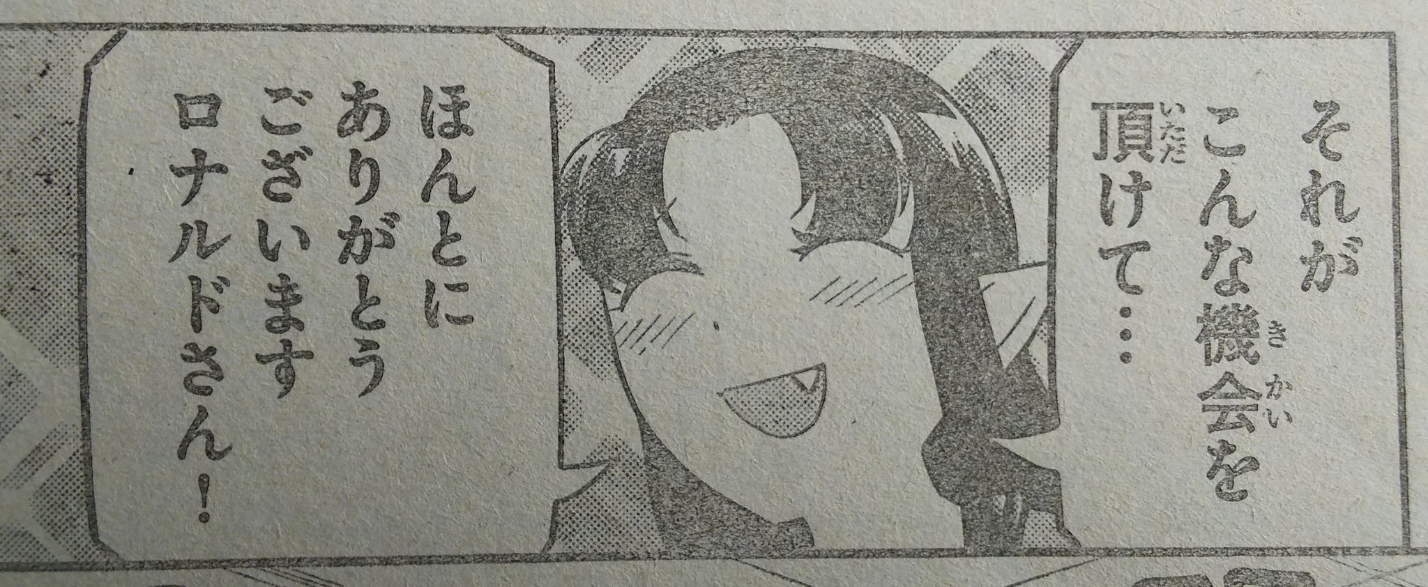 ペドロリ 