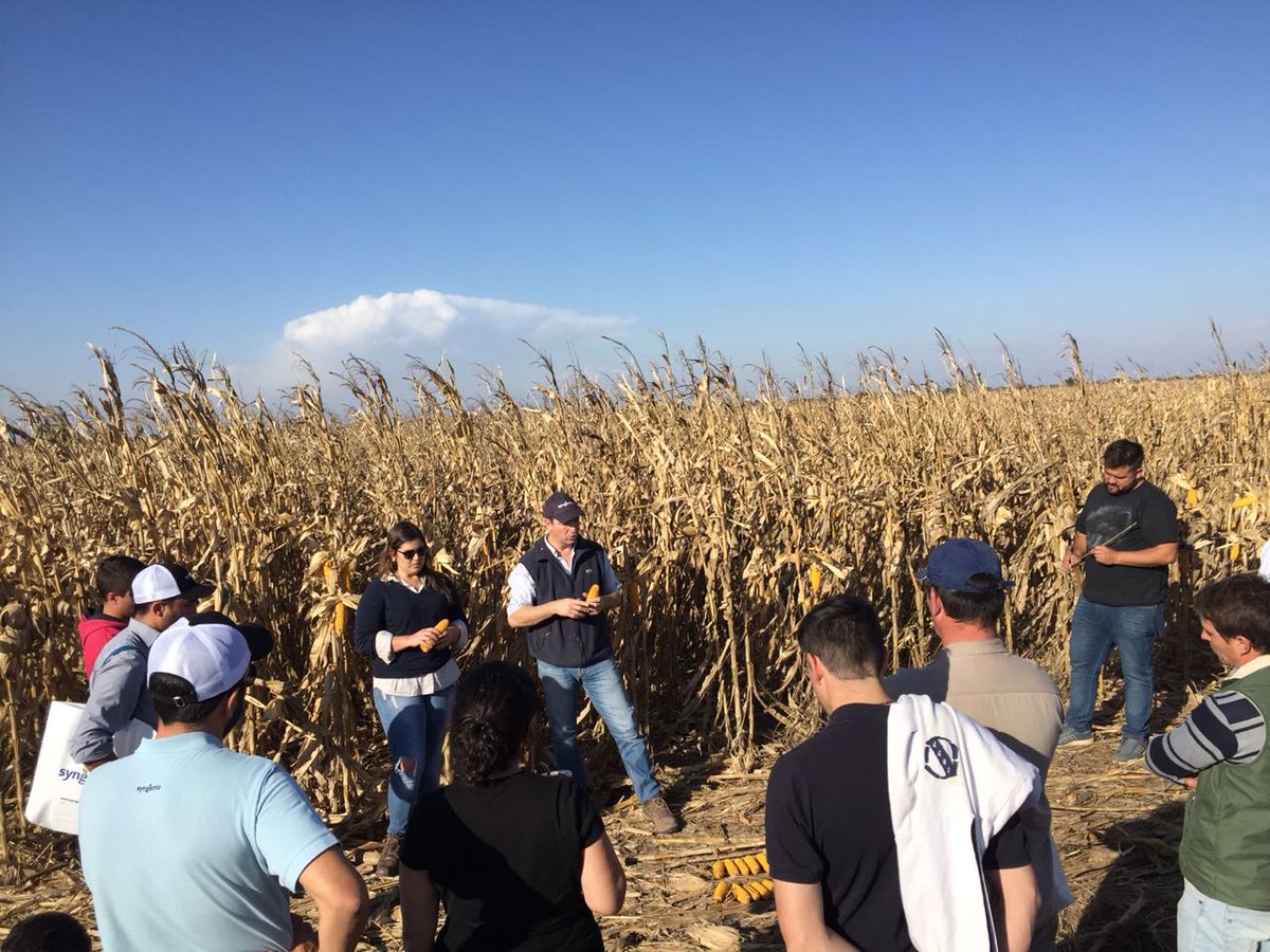 evemazzucco's tweet photo. Y asi termino el TOUR MAÍZ 126VIP3 norte de Córdoba! Sebastián elcano #viptera3 @Syngenta_ar https://t.co/TnRggAss7h