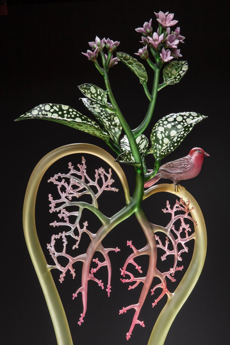 curiouszed's tweet photo. Incredibly intricate #glasswork by Janis Miltenberger is inspired by mythology https://t.co/X4nVDygS8s https://t.co/mpalnmasgW
