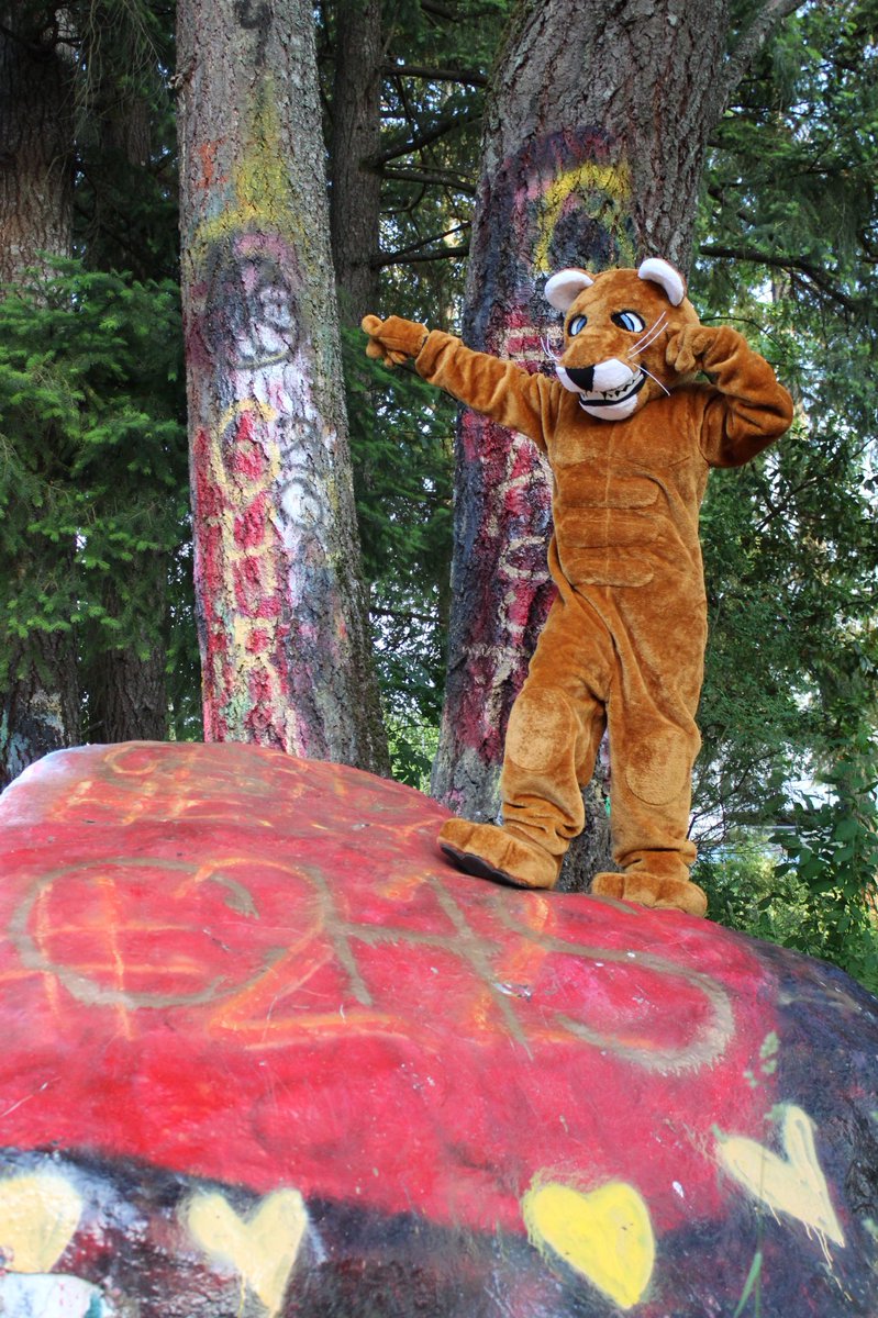 CHS_CougarCheer's tweet photo. Drumroll please.....Help us welcome our new Cougar by giving him a name. Stop by the ASB office this week and cast your vote. Voting closes on Friday June 15 at 2:30. #votingisnowopen #castyourvote #whatwillthecougarsnamebe #Cooper #Conger #Charlie #capitalhighschool #cougarpride https://t.co/qKTz2NcwmF