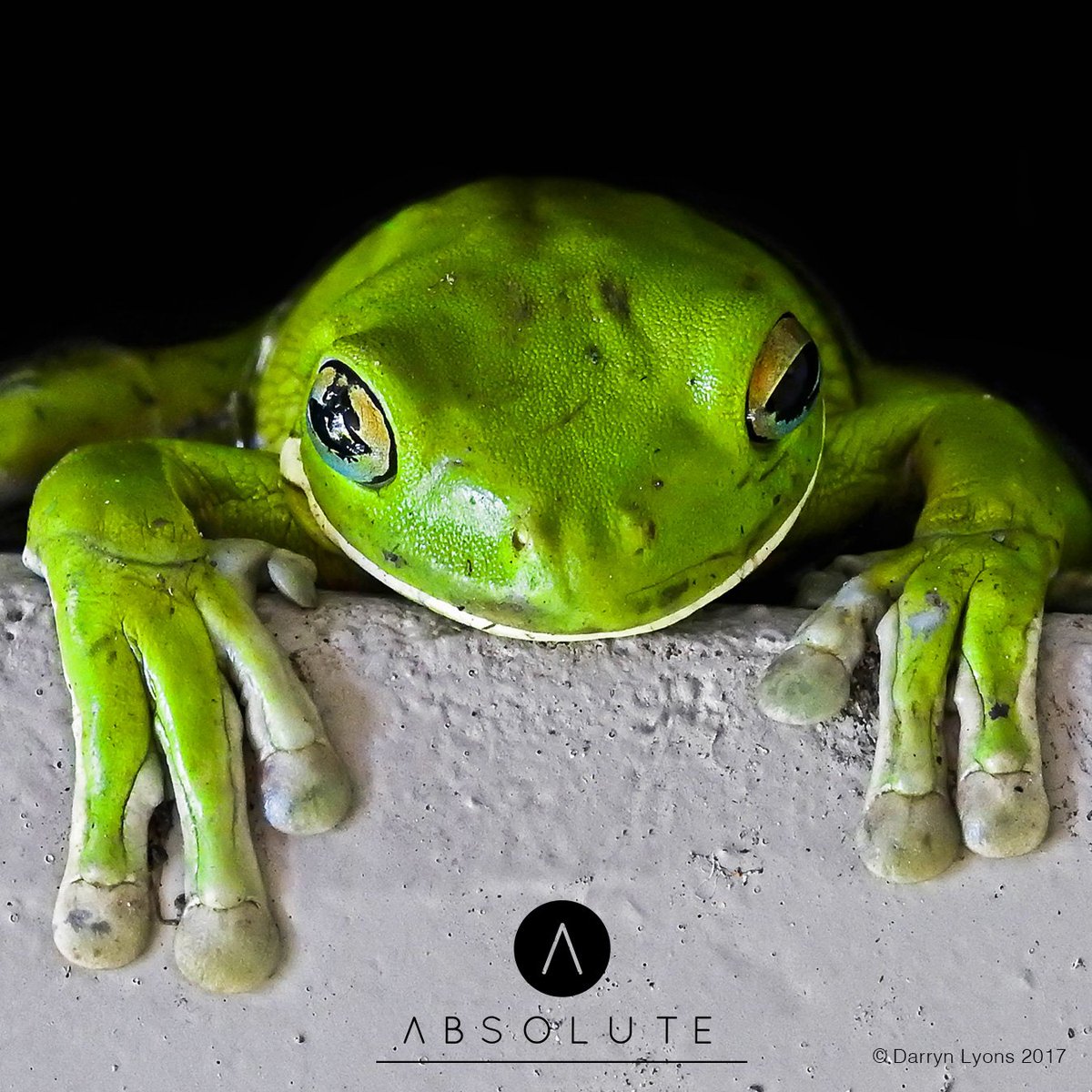 AbsoluteNewellBeach tweet media