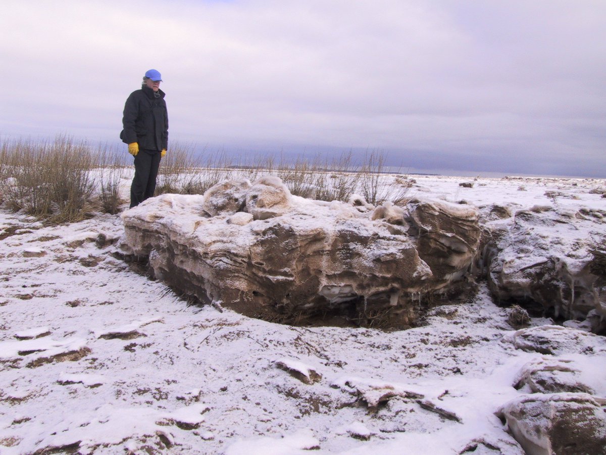 We had a frost. In June! Horrors for vineyards and blueberry growers. Yes, vineyards, remember, we're only at 45 N, but on the right/cold side of the continent. Thus, in June, you'll get images of winter ice and a link, because i wrote about that.  https://earthsciencesociety.com/2015/02/05/extreme-tides-and-winter-ice/