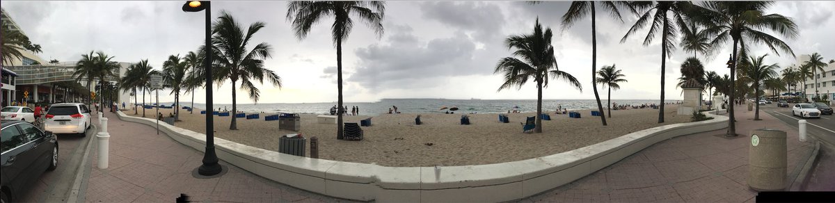 maudlynei's tweet photo. #YeahThat #FloridaStateOfMind https://t.co/jsXmtaWqiO