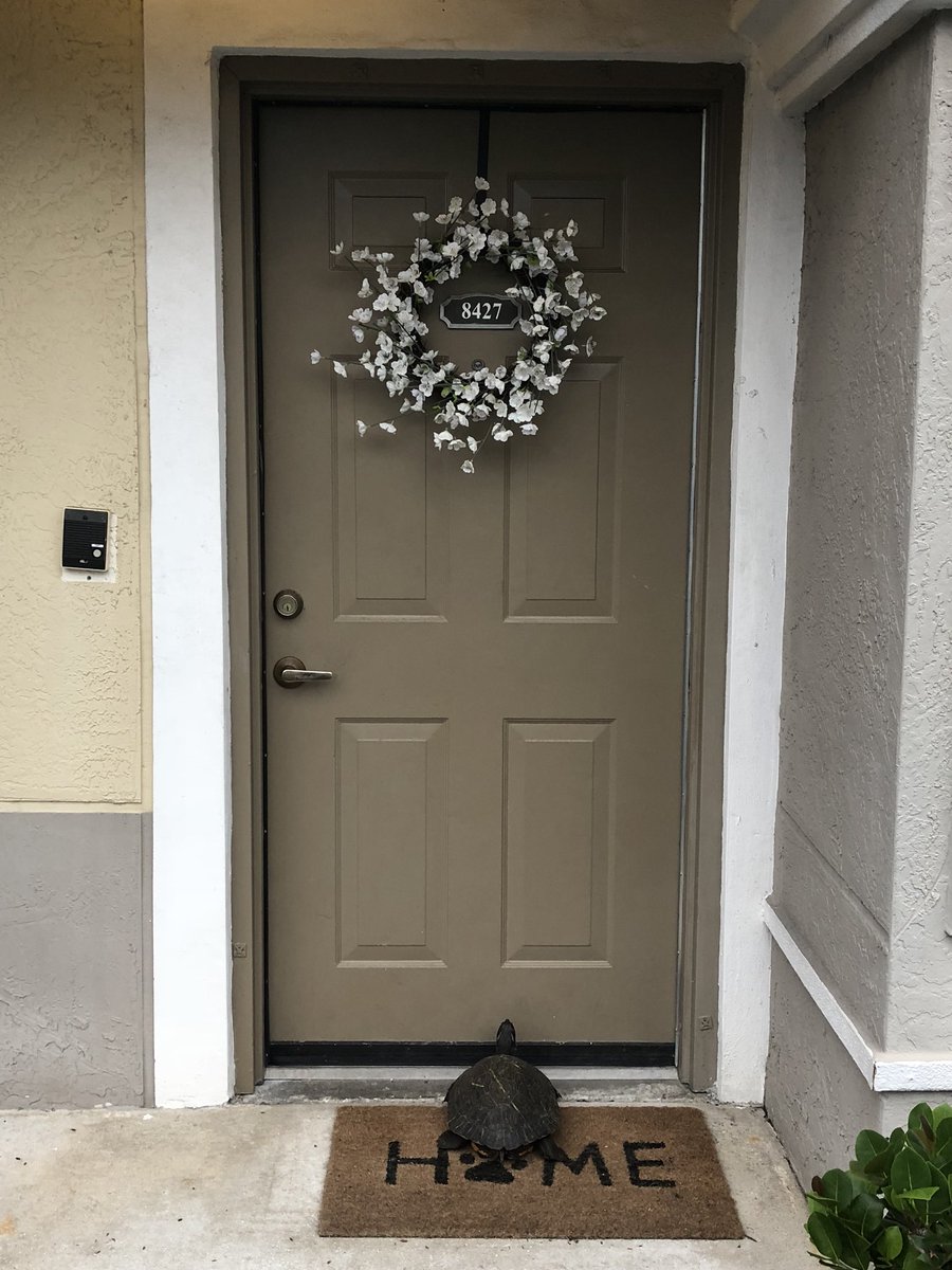 I came home to local FL resident practicing his door knocks,trying to earn a spot on our IHX squad. He said he would work for Pizza.  🐢 🍕#IHX