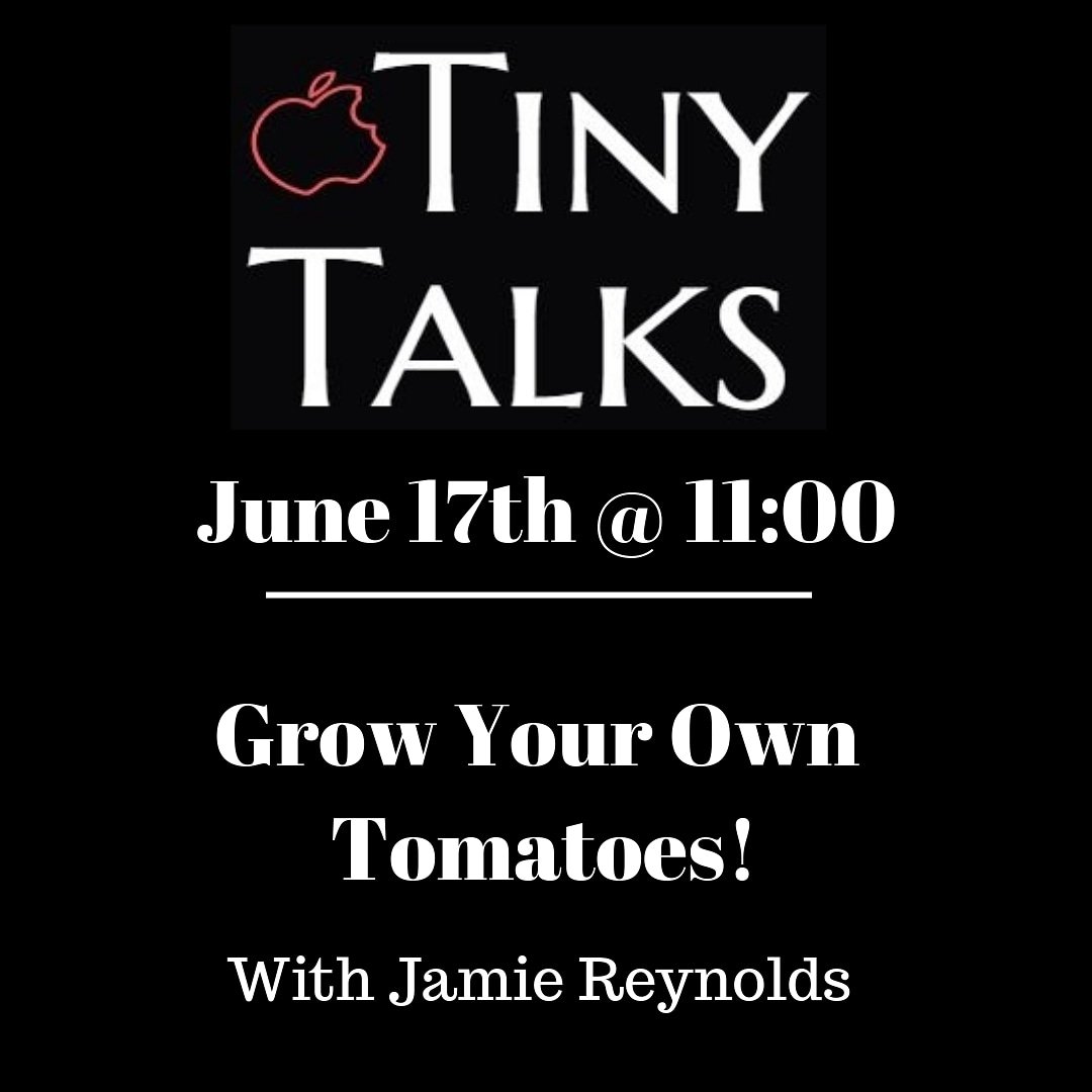 QueenSquareFM's tweet photo. We are launching our Tiny Talks speaker series this Sunday! Come hear our very own Jamie Reynolds talking about how to "Grow Your Own...Tomatoes". #tinytalkssj #qsfmsj #speakerseries #gardening #growyourown #gardendayscanada https://t.co/CLeuwfGCbL
