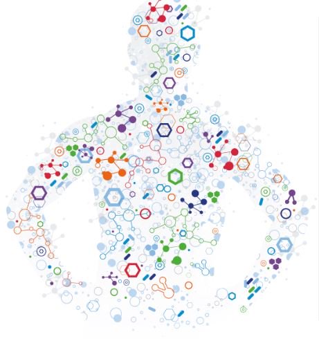 CorkHour's tweet photo. #mynewbelly - This is a 21 day programme designed to reset the gut microbiome Ask @EliteHealthIre for more details #CorkHour #EliteHealthIre https://t.co/LvRbn6Fo07