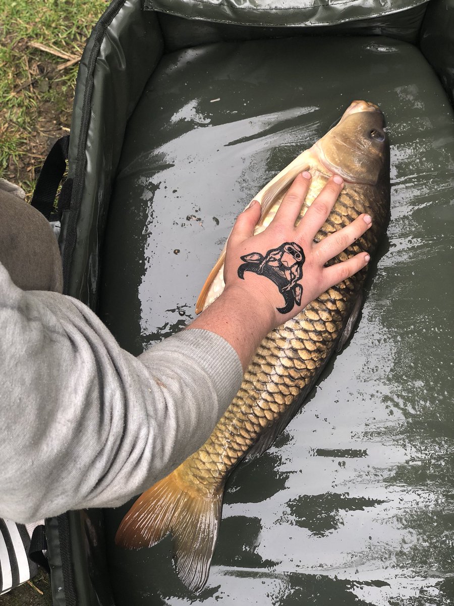 jjangling's tweet photo. Pucker weekend fishing turned 21 and had a few fish over the course of 4days these are a few of my favorites @KPangling stayed the the whole time with me down our syndicate along with a couple pals popping down for a night each both catching! https://t.co/1DjqJIOjbT
