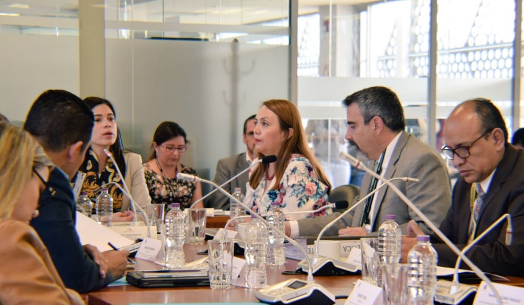 DinarpEc's tweet photo. Magister Lorena Naranjo Godoy,  destaca la importancia de crear un Proyecto de Ley de Protección de Datos Personales que pueda regular no solo el uso de bases de datos públicas sino también del sector privado. #ProtecciondeDatos https://t.co/pIoA5xMFRN