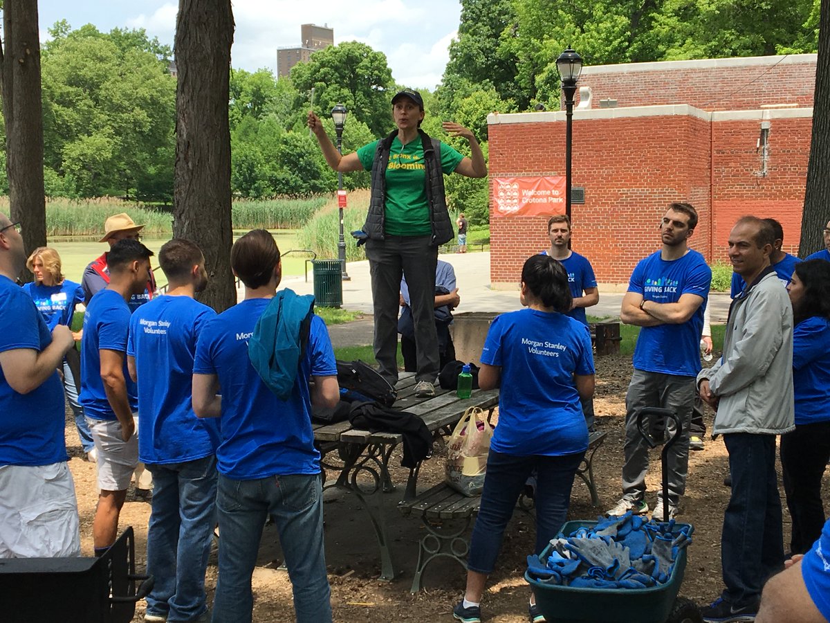 newyorkcares's tweet photo. Last week, our friends at @MorganStanley mobilized over 100 volunteers in #CrotonaPark in the #Bronx. With the help of our partner @BronxisBlooming, we helped steward dozens of young trees. 🌳☀️ #forestofthefuture #newyorkcares #corporateservice https://t.co/4K62R3vloT