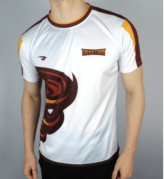 Si este tweet llega a 750 ❤️ y 200  RT vamos a sortear una camiseta de Sandstorm 🌪️👀