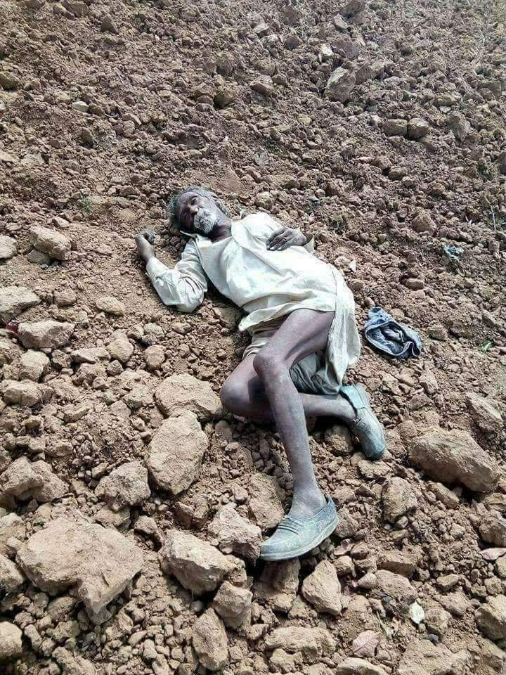 mdanasskr's tweet photo. Sakht dhoop m bakriyan charate hue ek kisan ko aziyat bhari zndgi se nijat mil gyi
#DigitalIndia or #MakeInIndia ka sbse bhyank chehra
Lkn #Indian_media ko #Race3ThisEid aur unimportant #policitcal issues se frst  nhi h
Koi btao inko pesa koi bhi de #roti inhi ki mhnt se milti h. https://t.co/GNItsdrMrj