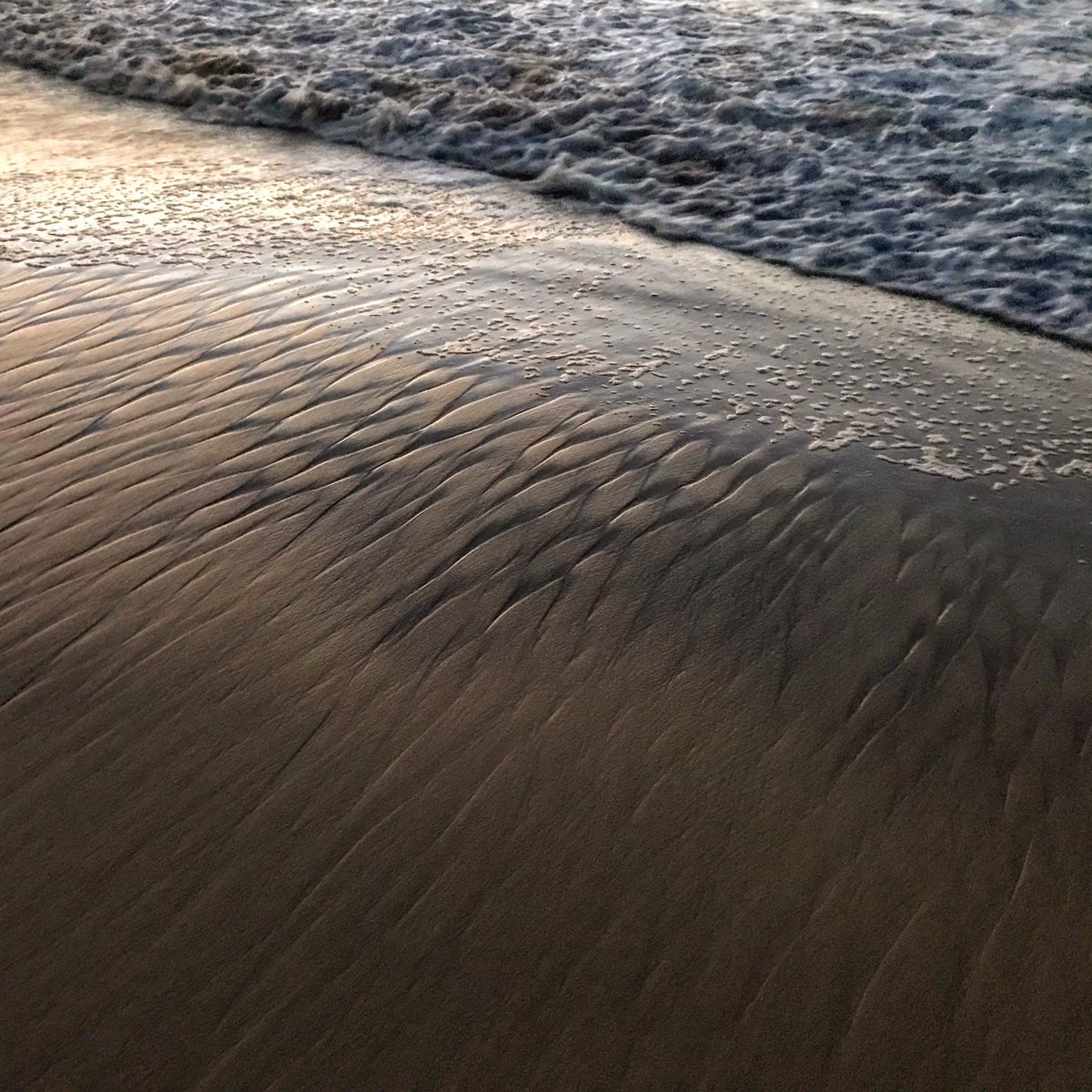 DrEmmaLJohnston's tweet photo. Mornings on #beaches. #writteninsand #sydney #coast https://t.co/ywq5MijOUB
