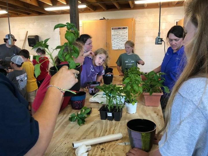 DaleCountyHS's tweet photo. Down On The Farm at DCHS (Day 1). Kids learned the parts of a flower, picked blueberries, planted basil and banana peppers. https://t.co/htBuLeivAn