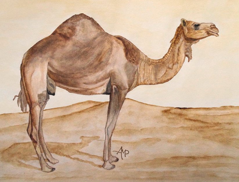watercolor hashtag on twitter pictures to watercolor