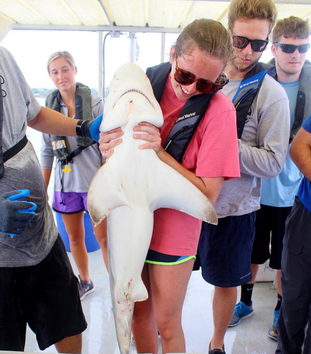 CCU Sigma Kappa tweet media