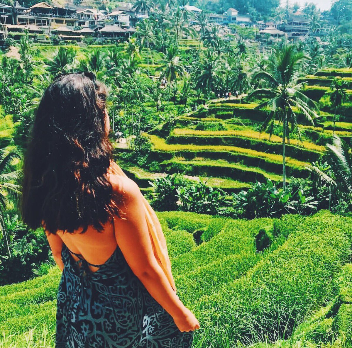 CCU Sigma Kappa tweet media